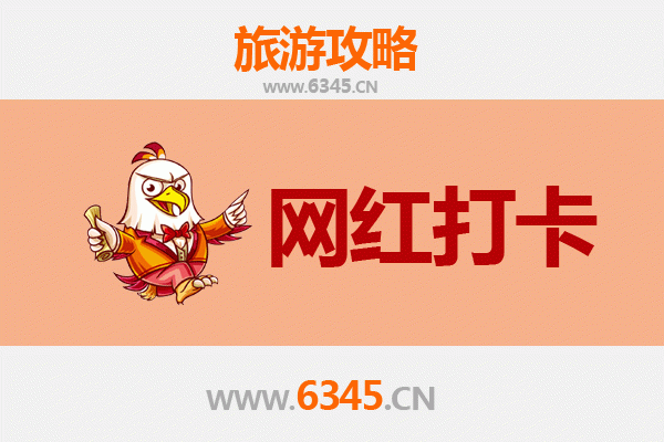 大兴安岭新林网红打卡地全攻略：解锁北国秘境之美